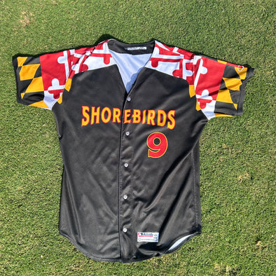 Delmarva Shorebirds EVOSHIELD Maryland Pride Game Worn Signed Jersey