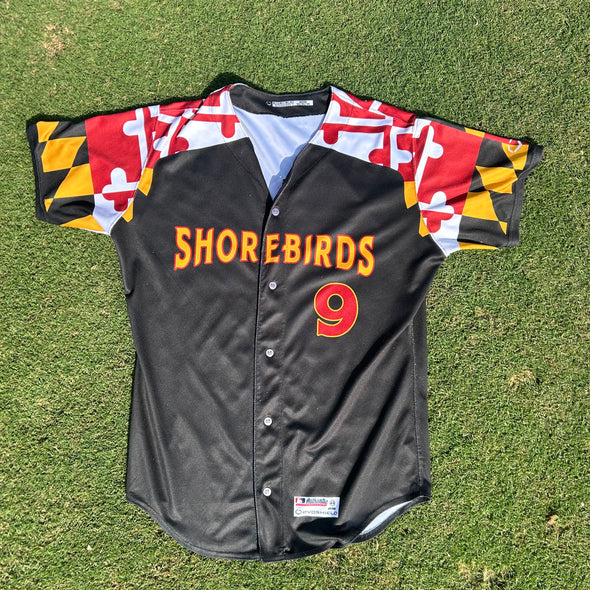 Delmarva Shorebirds EVOSHIELD Maryland Pride Game Worn Signed Jersey