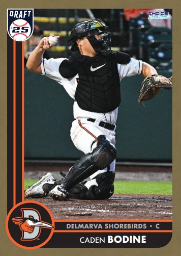 Delmarva Shorebirds 2025 Team Set