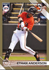 Delmarva Shorebirds 2024 Team Set + Promo Set