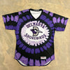 Delmarva Shorebirds EVOSHEILD Go Purple Game Worn Jerseys