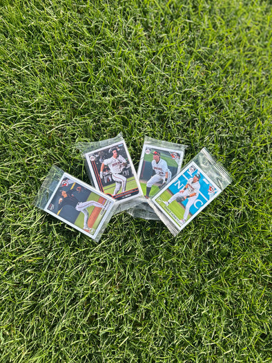 Delmarva Shorebirds Team Set Bundle