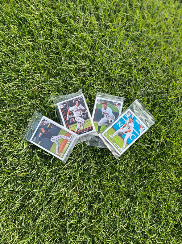 Delmarva Shorebirds Team Set Bundle