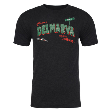 Delmarva Shorebirds 108 Stitches Postcard Tee