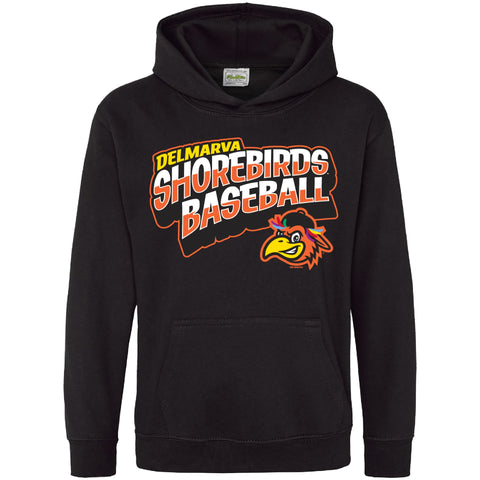 Delmarva Shorebirds Bimm Ridder Youth Montoya Hoodie