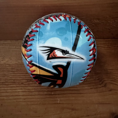 Delmarva Shorebirds Graffiti Novelty Baseball