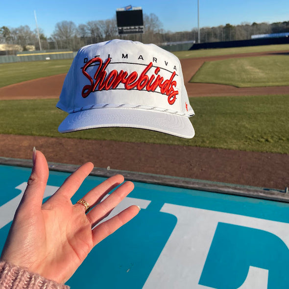 Delmarva Shorebirds 47' Brand Condor Cap