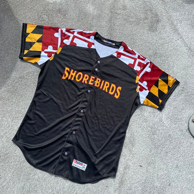 Delmarva Shorebirds Evoshield Authentic Maryland Pride Jersey