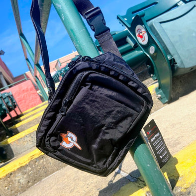 Delmarva Shorebirds Logo Brands Dash Pack Bag