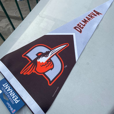 Delmarva Shorebirds WinCraft 12"x30" Pennet