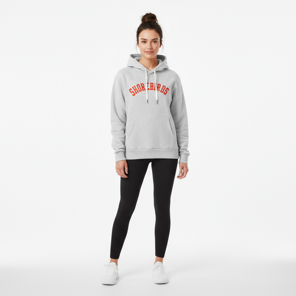 Delmarva Shorebirds Under Armour Women's Icon Fleece Hoodie
