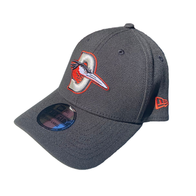 Delmarva Shorebirds New Era 39THIRTY Stretch Road Logo Cap