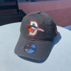 Delmarva Shorebirds New Era Youth Road Adjustable Cap