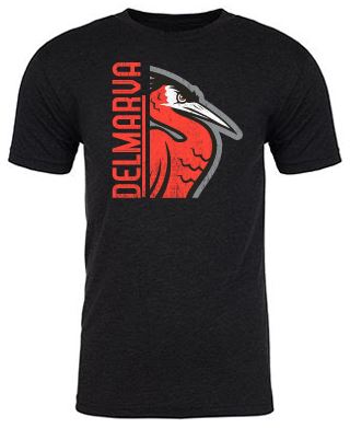 Delmarva Shorebirds 108 Stitches Split Screen Tee