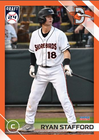 Delmarva Shorebirds 2024 Team Set + Promo Set