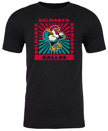 Delmarva Shorebirds 108 Stitches Copa Sunspot Tee