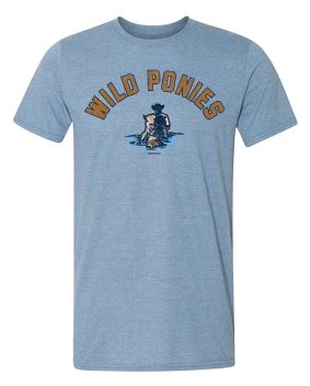 Delmarva Shorebirds 108 Stitches Wild Ponies Game Day Tee