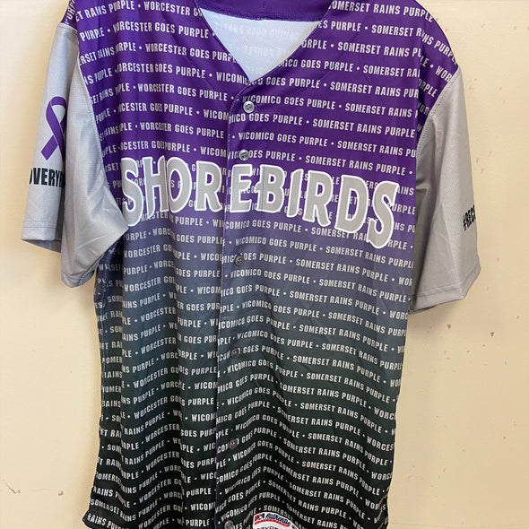 Delmarva Shorebirds 2024 Team Issued Go Purple Jersey