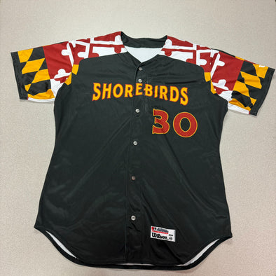 Delmarva Shorebirds Wilson Authentic Team Issued Delmarva Maryland Pride Jersey