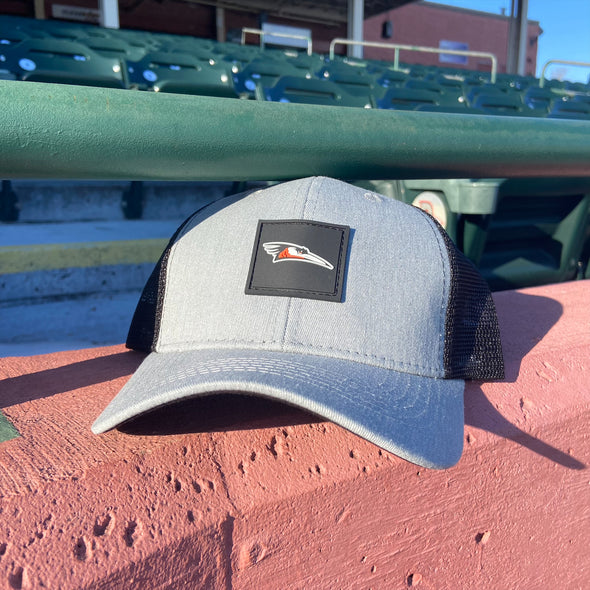 Delmarva Shorebirds Bimm Ridder Diffuse Trucker Cap