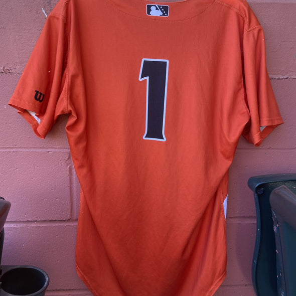 Delmarva Shorebirds 2024 Wilson Authentic Game Used Orange Friday Jersey