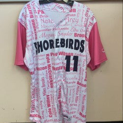 Delmarva Shorebirds 2024 Team Issue Flock for a Cure Jersey