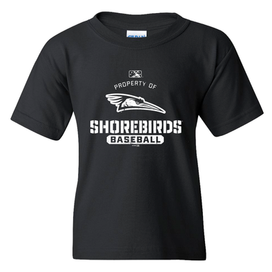 Delmarva Shorebirds Props Black Youth T-Shirt