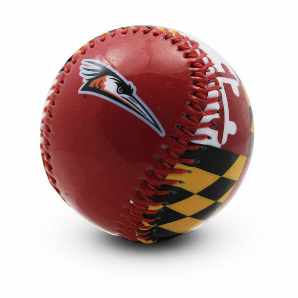 Delmarva Shorebirds Primary Logo Maryland Flag Baseball