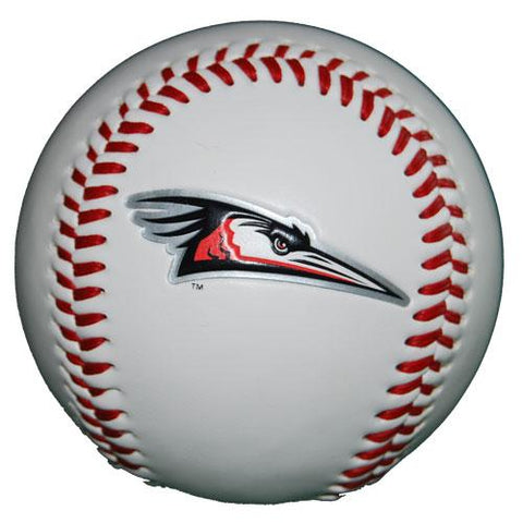 Delmarva Shorebirds Primary Logo Baseball
