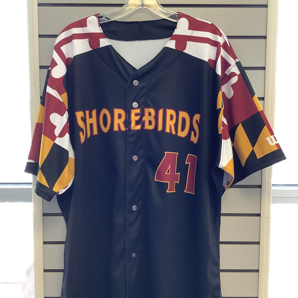 Delmarva Shorebirds Wilson Game Worn & Autographed Maryland Pride Jersey - 2022 Season