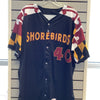 Delmarva Shorebirds Wilson Game Worn & Autographed Maryland Pride Jersey - 2022 Season